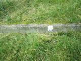 image of grave number 557466